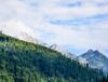 Dynamic Lifecycle Innovations helps companies navigate challenges as reliably as green pine-covered mountains under a vast blue sky.