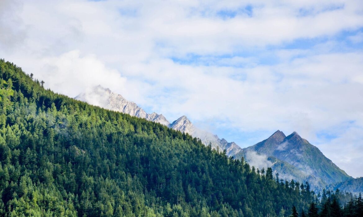 Dynamic Lifecycle Innovations helps companies navigate challenges as reliably as green pine-covered mountains under a vast blue sky.